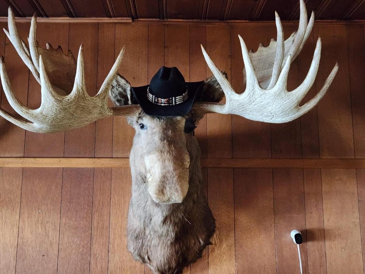 Tolsona Lake Lodge Glennallen Bagian luar foto