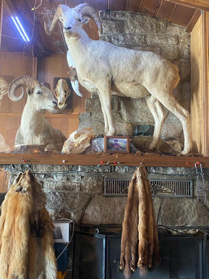 Tolsona Lake Lodge Glennallen Bagian luar foto