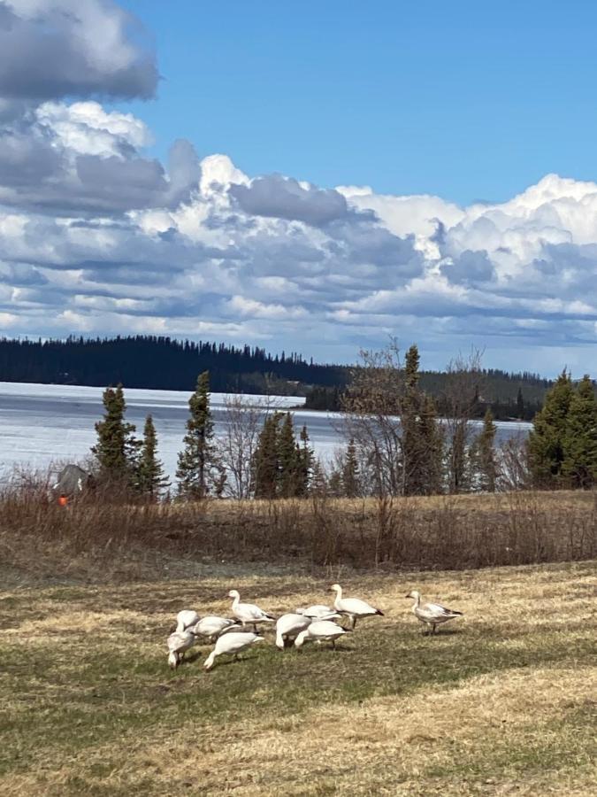 Tolsona Lake Lodge Glennallen Bagian luar foto