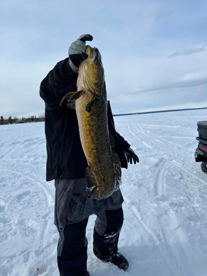 Tolsona Lake Lodge Glennallen Bagian luar foto
